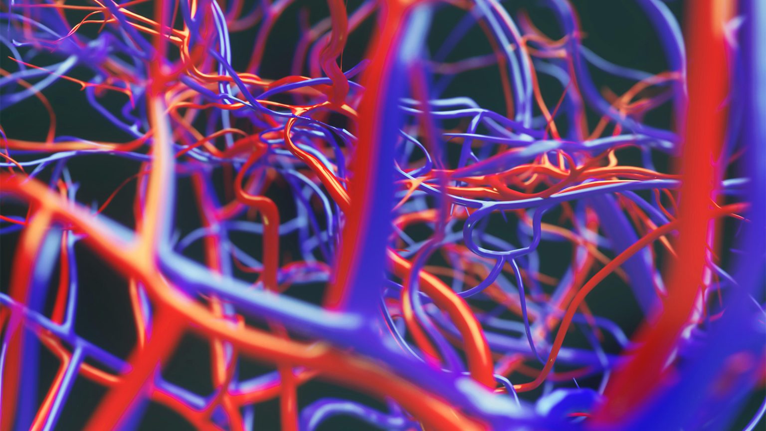 Vascular Aging May Explain Long COVID’s Predominance in Women