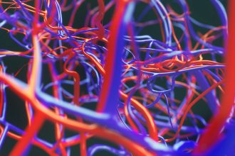 Vascular Aging May Explain Long COVID’s Predominance in Women