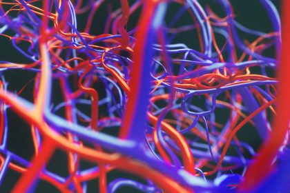 Vascular Aging May Explain Long COVID’s Predominance in Women