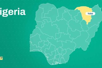 Tears as motor accident on Damaturu–Kano highway claims 7 lives