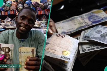 Check out the latest naira to dollar exchange rate in official market