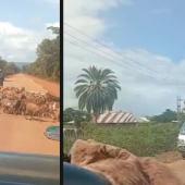 BREAKING: Hundreds Flee Homes In Kwara South As Rise In Kidnapping Sparks Mass Exodus