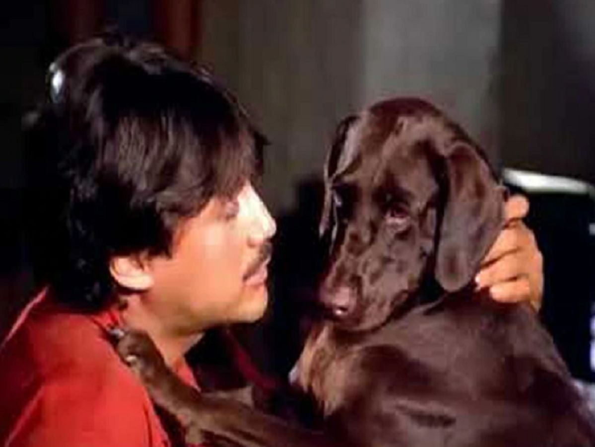 6 Bollywood Dog movies for a Happy Mind