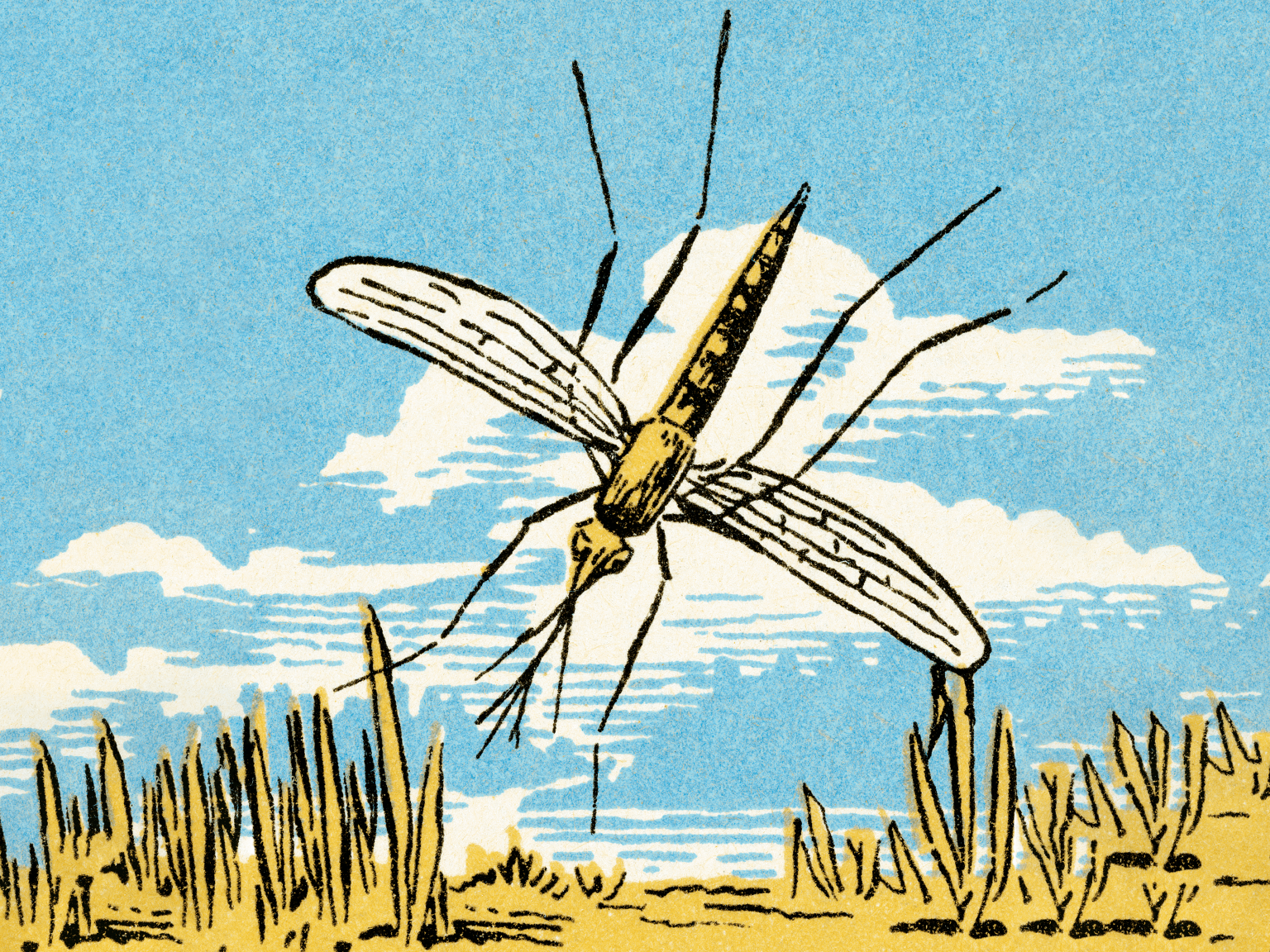August Is Prime Time for Mosquitoes—and the Diseases They Carry. Here’s How to Prevent Mosquito Bites