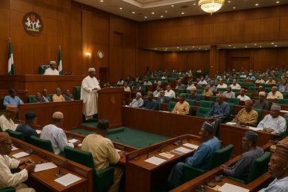 Suzan Aguiyi-Ironsi: Why Nigeria Needs Special Legislative Seats For Women Now