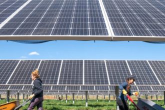 In the Southwest, solar panels can help both photovoltaics and crops
