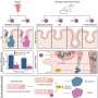 Breast cancer drug side effects: Study reveals how tamoxifen raises risk of secondary tumors in uterus