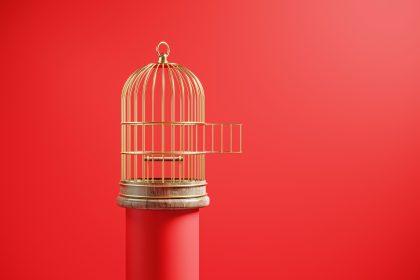 What Exactly Is a Male Chastity Cage—And Why Can It Be Such A Turn-On?