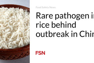 Rare pathogen in rice behind outbreak in China