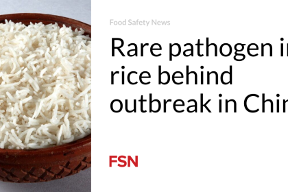 Rare pathogen in rice behind outbreak in China
