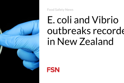 E. coli and Vibrio outbreaks recorded in New Zealand