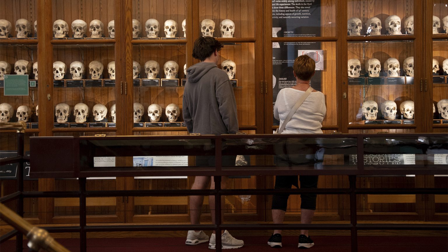 Medical Museum Overhauls Policies on Human Remains to Meet New Ethical Standards