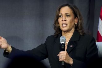 Democrats need to grasp new media or they will lose 2026, warns progressive podcast host