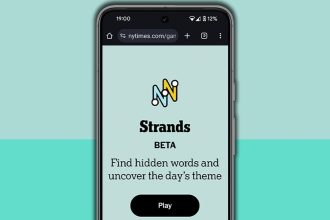 NYT Strands hints and answers for Sunday, July 20 (game #504)