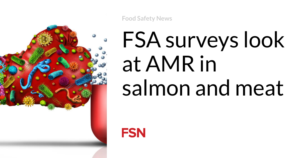 FSA surveys look at AMR in salmon and meat