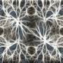 Cognitive behavioral therapy can alter brain structure and boost gray matter volume, study shows