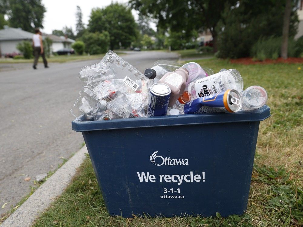 ‘Boomerang lunches’ on the menu after blue box recycling in schools cancelled