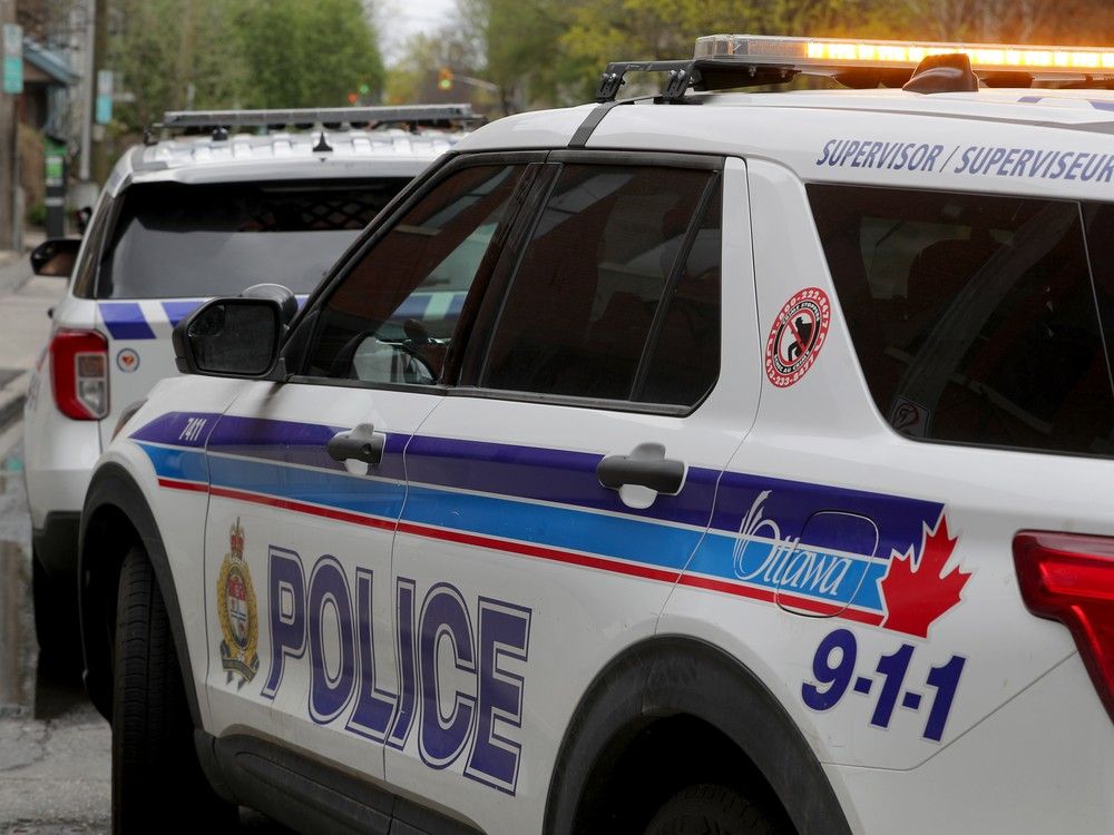 Ottawa police make arrest after woman stabbed in grocery store