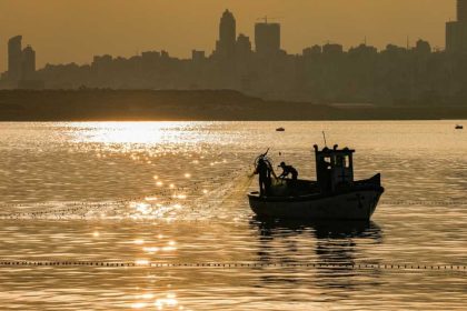 WTO fishing deal: the net results