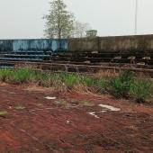 Once-Prominent Oleh Township Stadium In Delta State Falls Into Neglect, Overrun By Bushes, Cassava, Yam Crops
