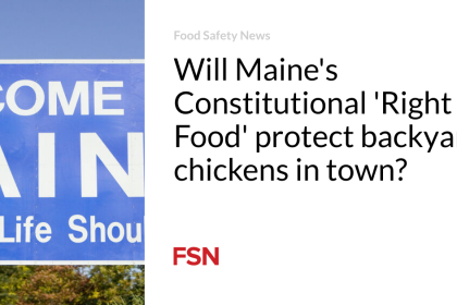 Will Maine’s Constitutional ‘Right to Food’ protect backyard chickens in town?