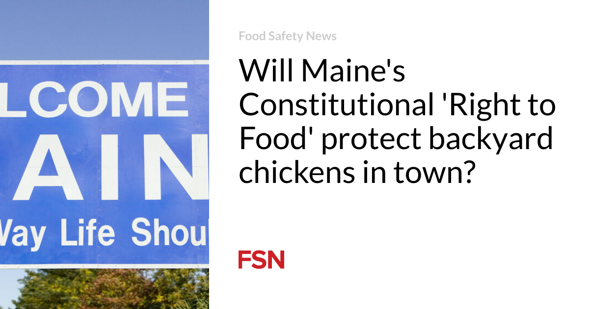 Will Maine’s Constitutional ‘Right to Food’ protect backyard chickens in town?