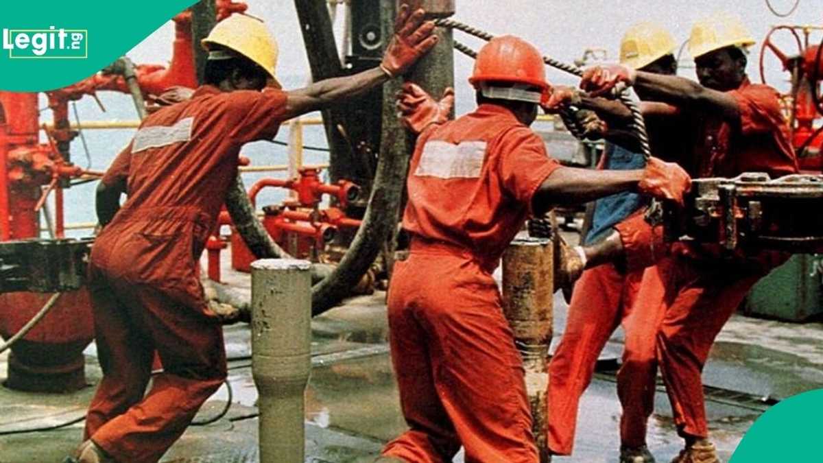Why FG must tackle high-level oil theft immediately, group speaks out
