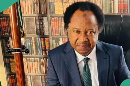 “Why Tinubu’s govt should change change LG ‘chairman’ title” Shehu Sani suggests new title