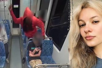 Felon indicted in train murder as attacks terrorize commuters in blue city: report