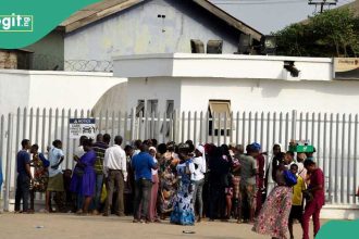 Find out more as 8-year old Nigerian bank becomes 9th largest in Nigeria with more customers