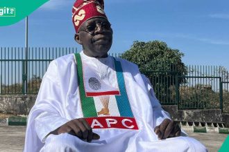 2027 election: How Tinubu, APC can retain power in Abuja