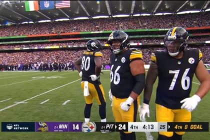Steelers Vs Vikings: PFF Grades And Snap Counts