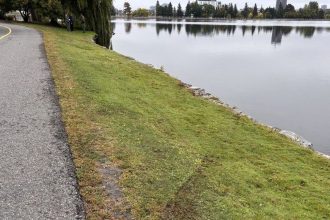 Car drives into waters of Dow’s Lake