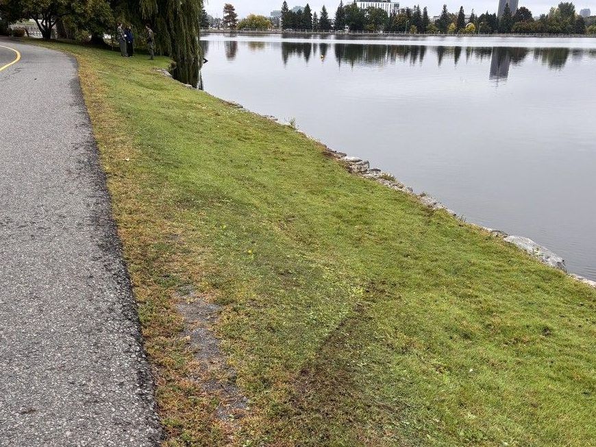 Car drives into waters of Dow’s Lake