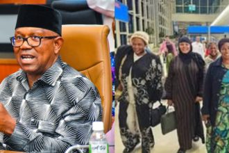 Peter Obi Slams ₦600m Turkey Trip for Adamawa LG Chairmen’s Wives as Wasteful