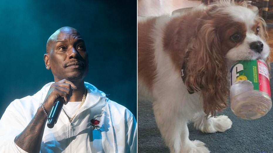 ‘Fast & Furious’ actor Tyrese Gibson faces arrest warrant after dogs allegedly kill neighbor’s pet