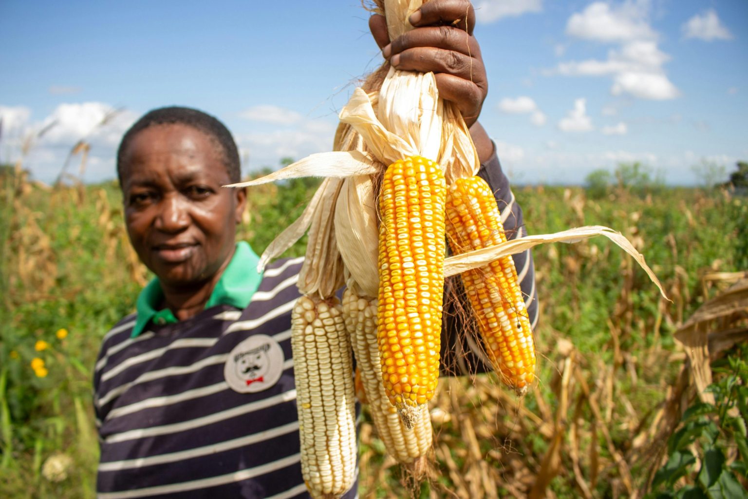 Faith Koki built Silo Africa to take on a $4 billion post-harvest challenge