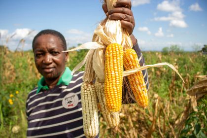 Faith Koki built Silo Africa to take on a $4 billion post-harvest challenge