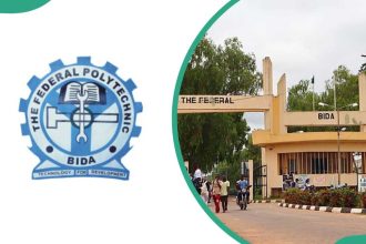 Federal Poly Bida admission portal: how to check admission and next steps