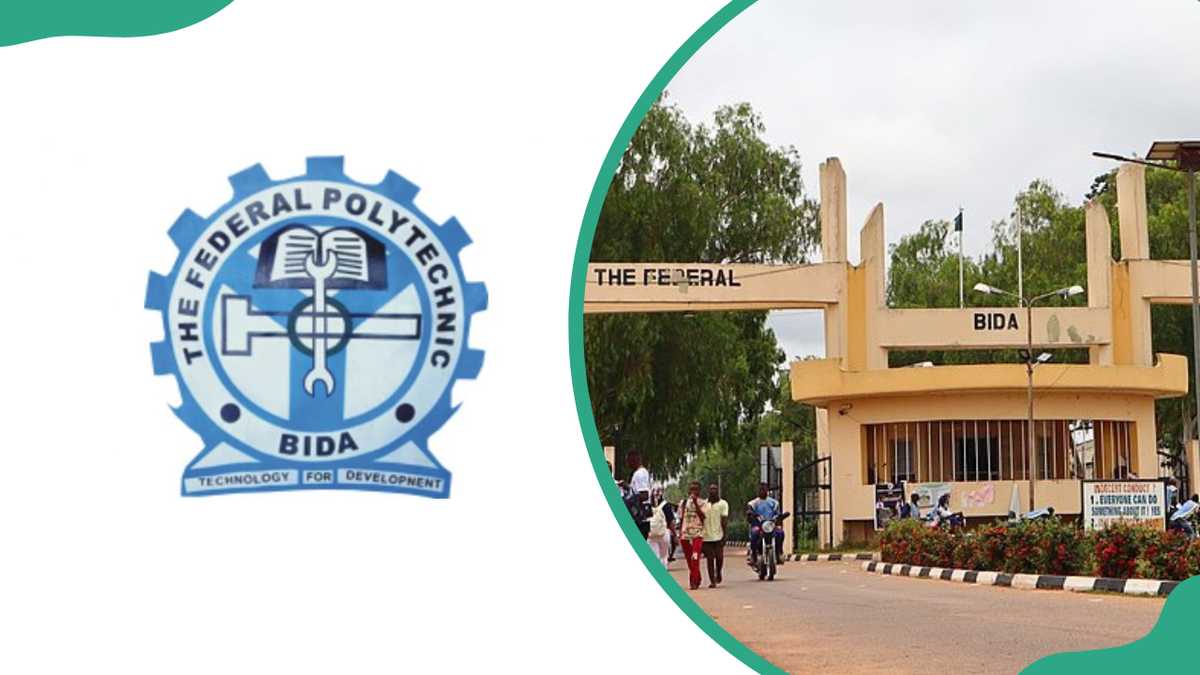 Federal Poly Bida admission portal: how to check admission and next steps
