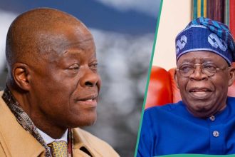 Presidency breaks silence on finance minister Wale Edun ‘suffering stroke, flown abroad’
