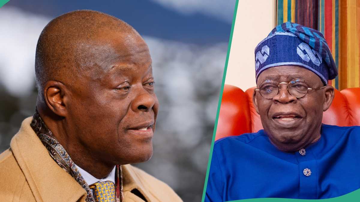Presidency breaks silence on finance minister Wale Edun ‘suffering stroke, flown abroad’