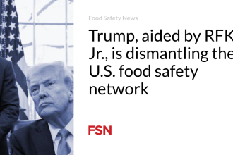 Trump, aided by RFK Jr., is dismantling the U.S. food safety network