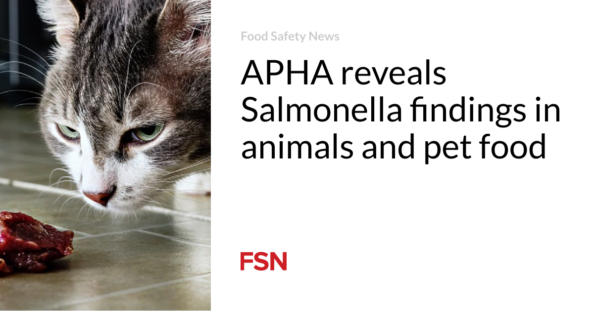 APHA reveals Salmonella findings in animals and pet food