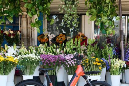 Momentum debuts new Vida E+ e-bike with pre-installed anti-theft solution and 88 km range