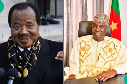 Cameroonian opposition candidate blows hot as Paul Biya takes early lead