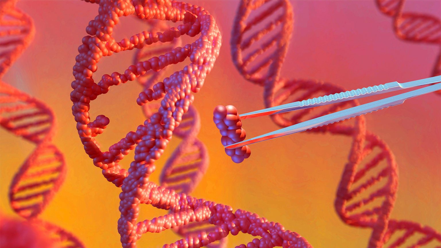 Gene Therapy Shows Lasting Benefit for Children With Rare Disorder