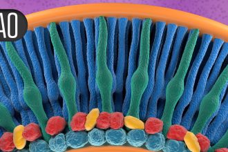 Adalimumab Bests Conventional Therapy For Steroid Sparing in Uveitis
