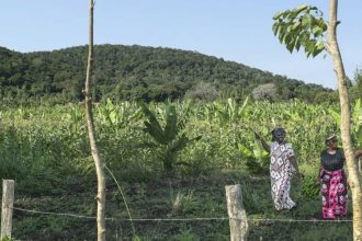Global race for rare earths comes to Kenya’s Mrima Hill