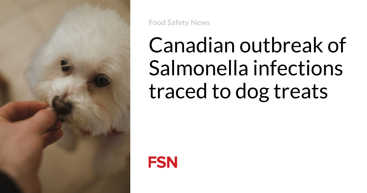 Canadian outbreak of Salmonella infections traced to dog treats